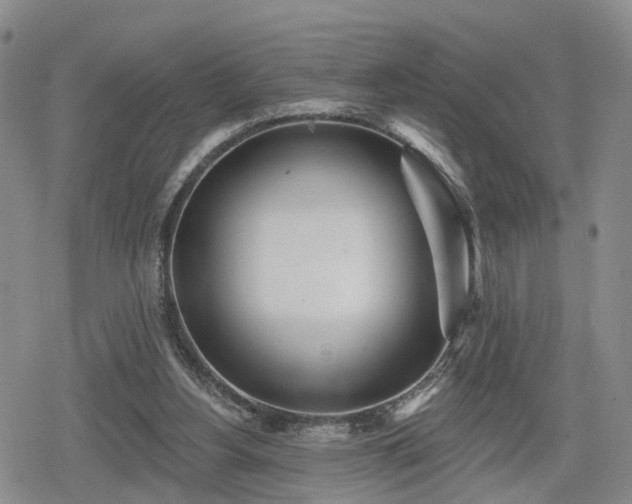 X0000078830156200611201257