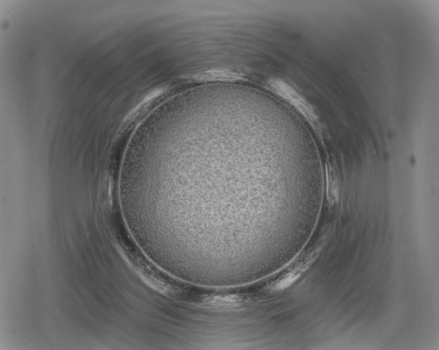 X0000078830157200611201257