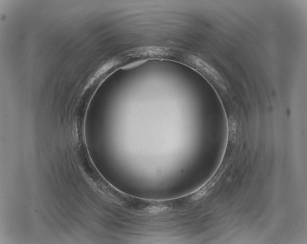 X0000078830158200611201257