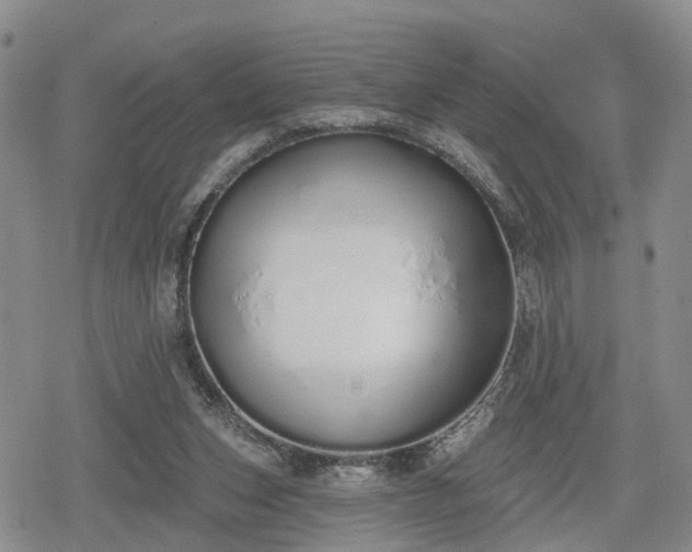 X0000078830159200611201257