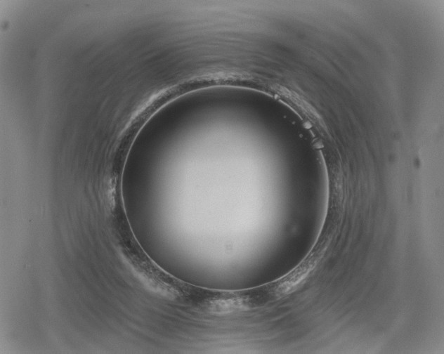 X0000078830160200611201257