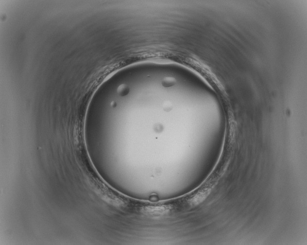 X0000078830161200611201257