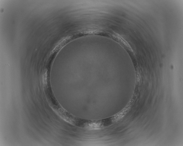 X0000078830163200611201257