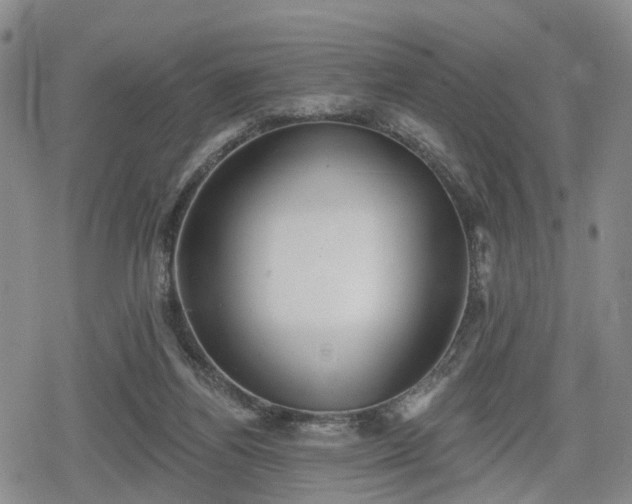 X0000078830164200611201257