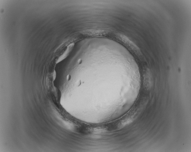 X0000078830165200611201257