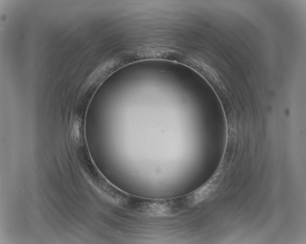 X0000078830166200611201257