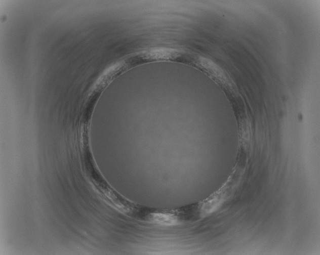 X0000078830167200611201257