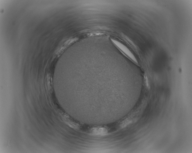 X0000078830169200611201257