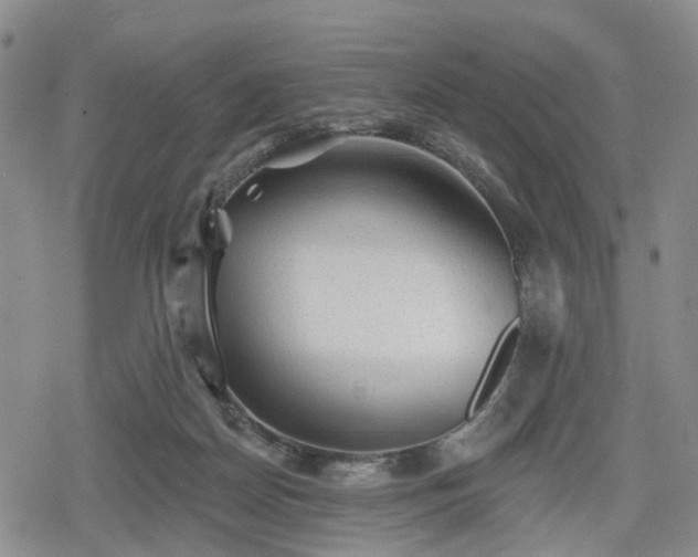 X0000078830170200611201257