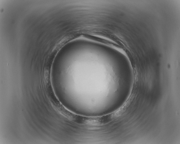 X0000078830171200611201257