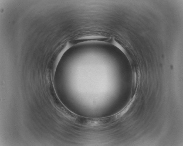 X0000078830174200611201257