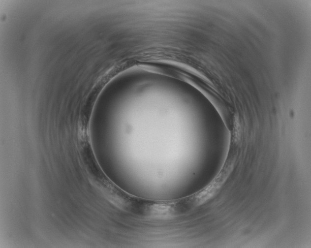 X0000078830176200611201257