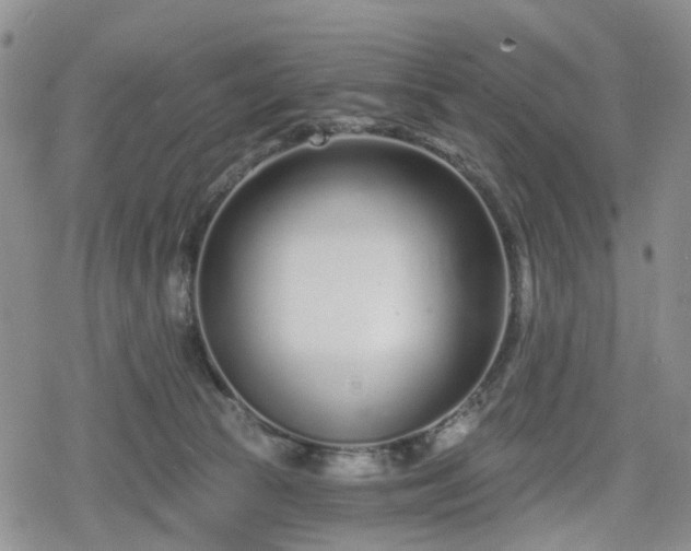 X0000078830177200611201257