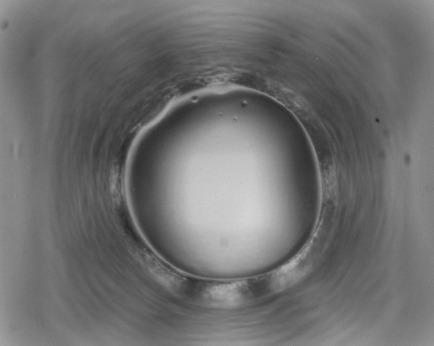 X0000078830178200611201257