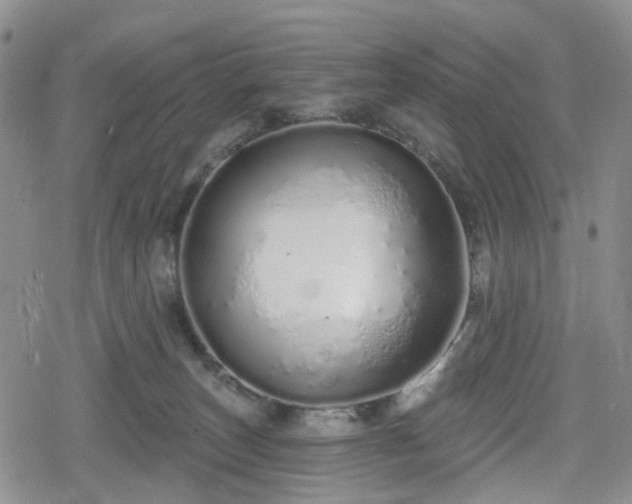 X0000078830179200611201257