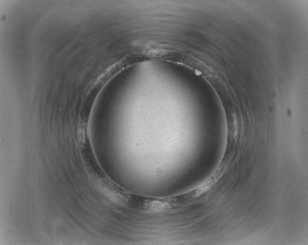 X0000078830180200611201257