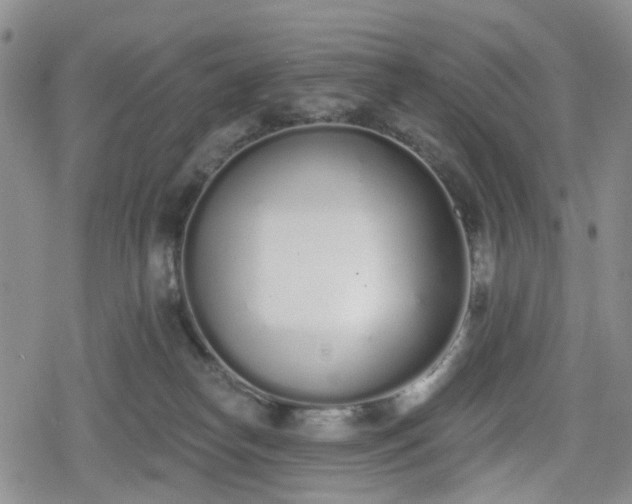 X0000078830182200611201257