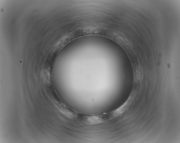 X0000078830183200611201257