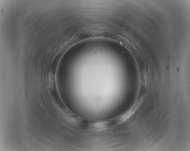 X0000078830184200611201257