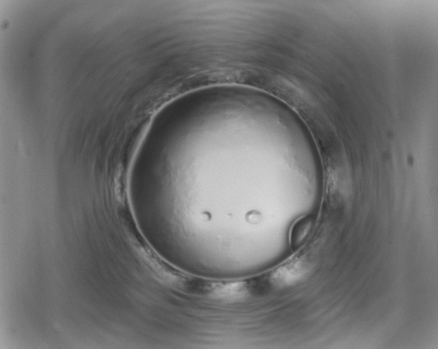 X0000078830185200611201257