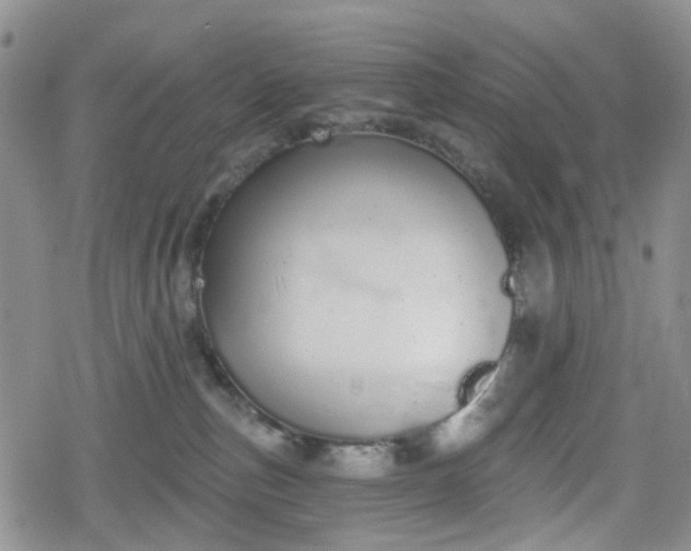 X0000078830187200611201257