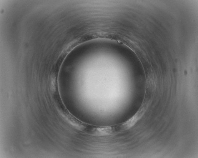 X0000078830188200611201257