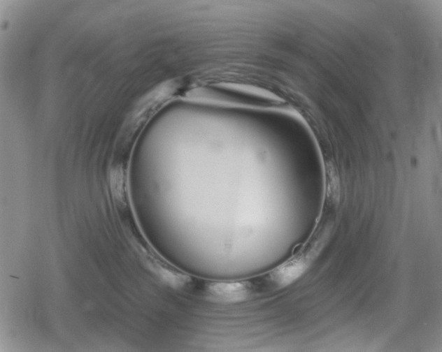 X0000078830189200611201257