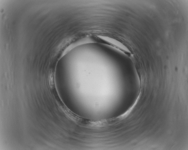 X0000078830190200611201257