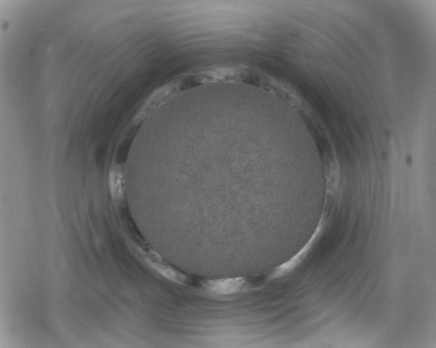 X0000078830191200611201257