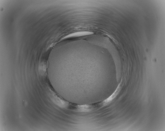 X0000078830192200611201257