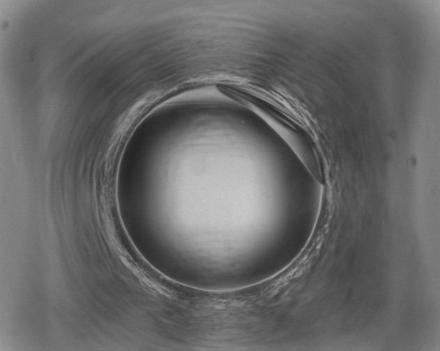 X0000078830193200611201256