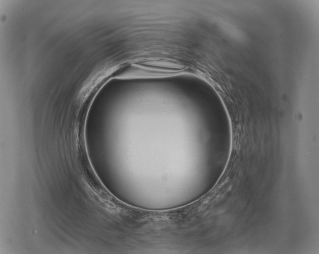 X0000078830194200611201256