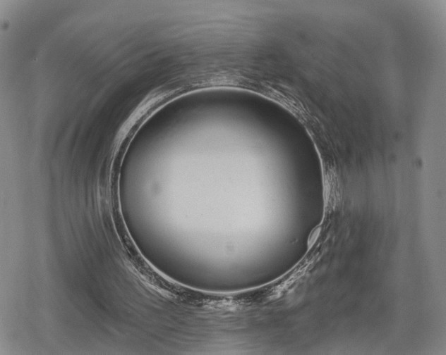 X0000078830195200611201256