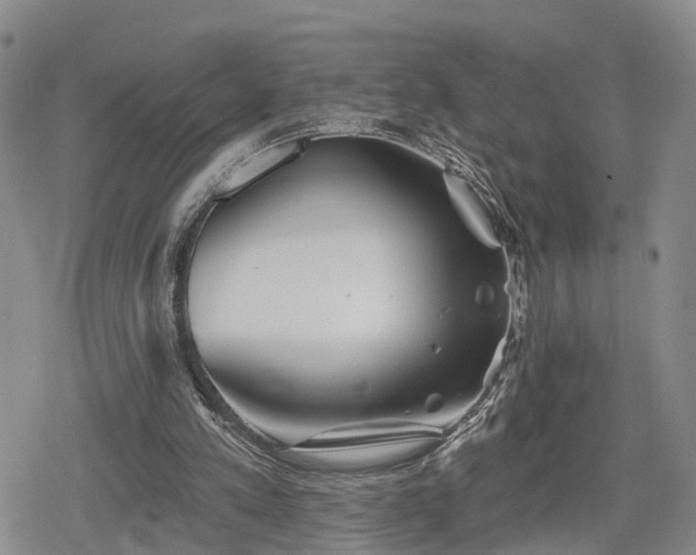 X0000078830197200611201256