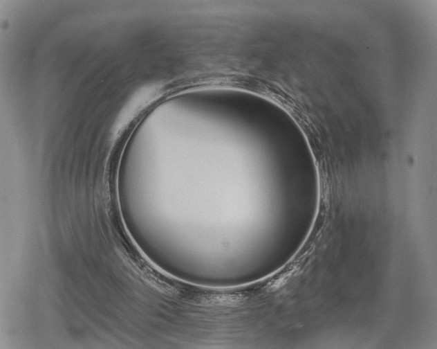 X0000078830198200611201256