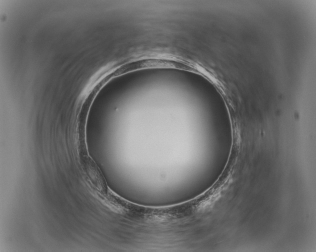 X0000078830199200611201256