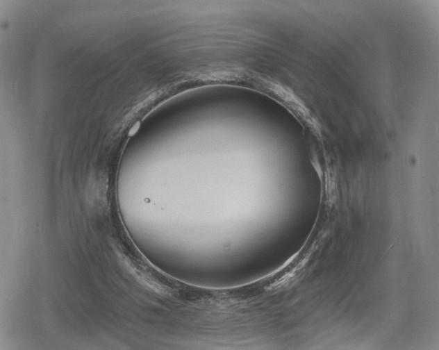 X0000078830201200611201256