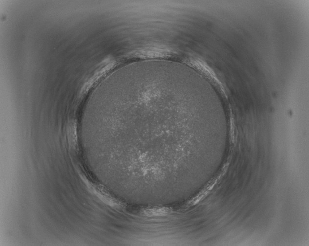 X0000078830202200611201256