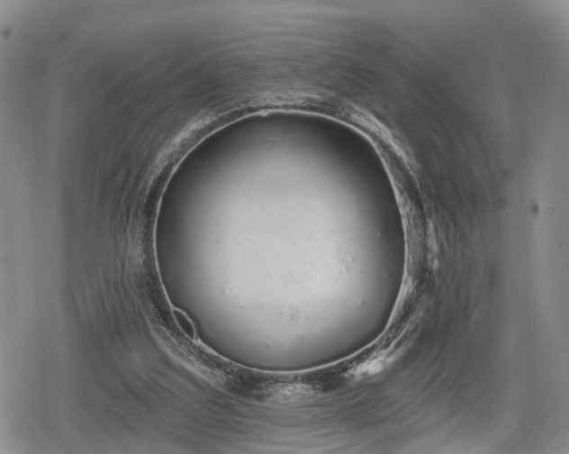 X0000078830203200611201256