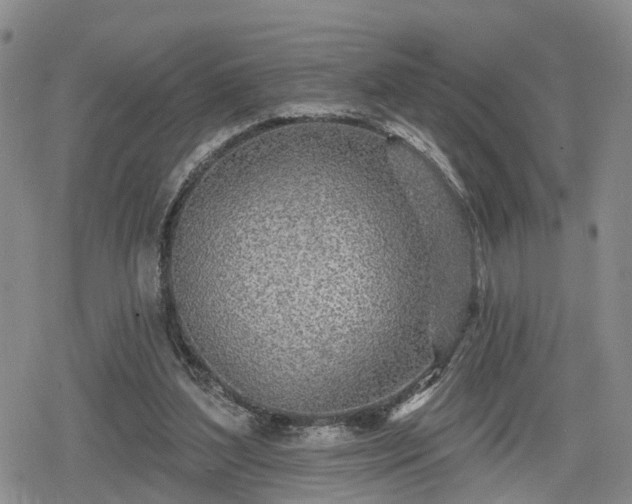 X0000078830204200611201256