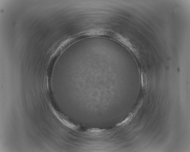 X0000078830205200611201256