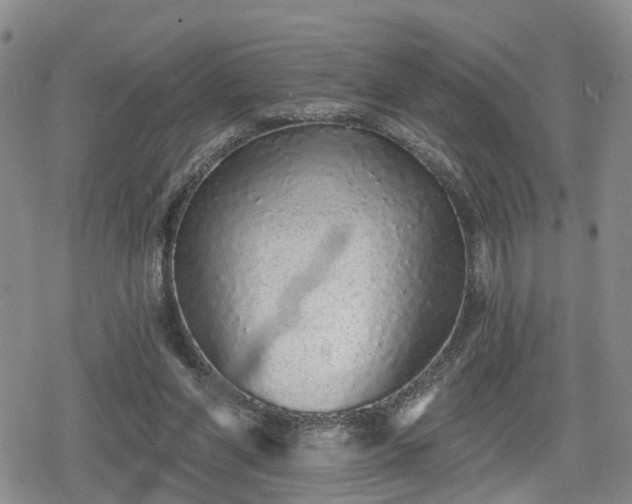 X0000078830206200611201256