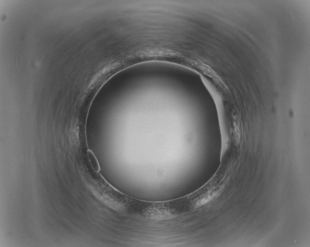 X0000078830207200611201256