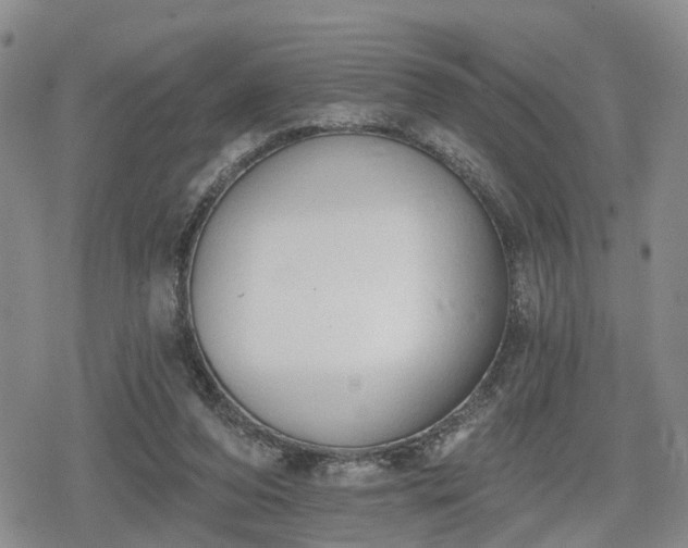 X0000078830208200611201256