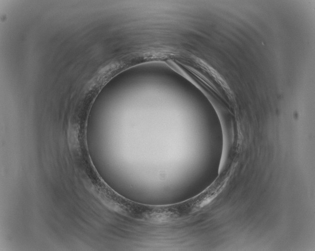 X0000078830209200611201256