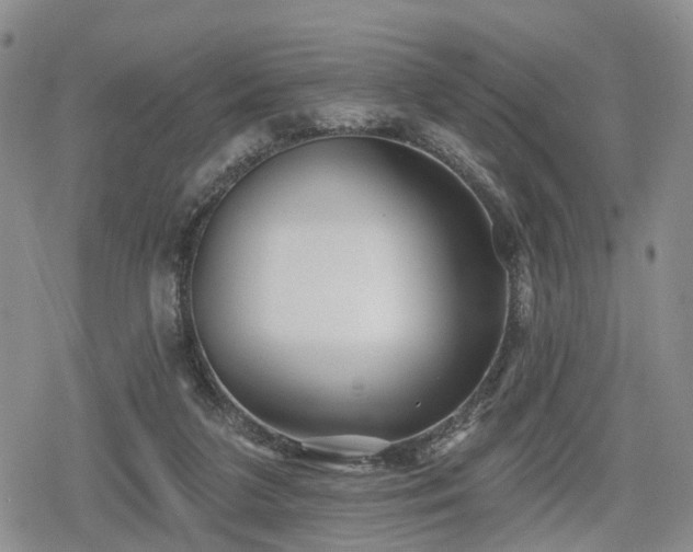 X0000078830211200611201256