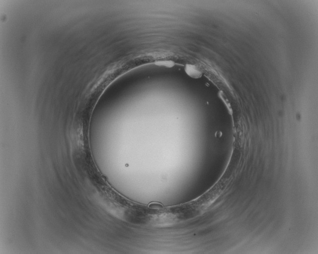 X0000078830212200611201256