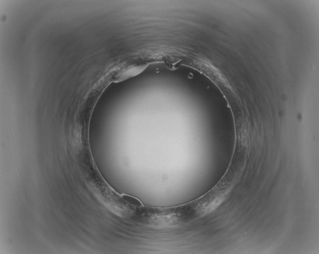 X0000078830213200611201256