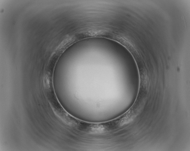 X0000078830214200611201256