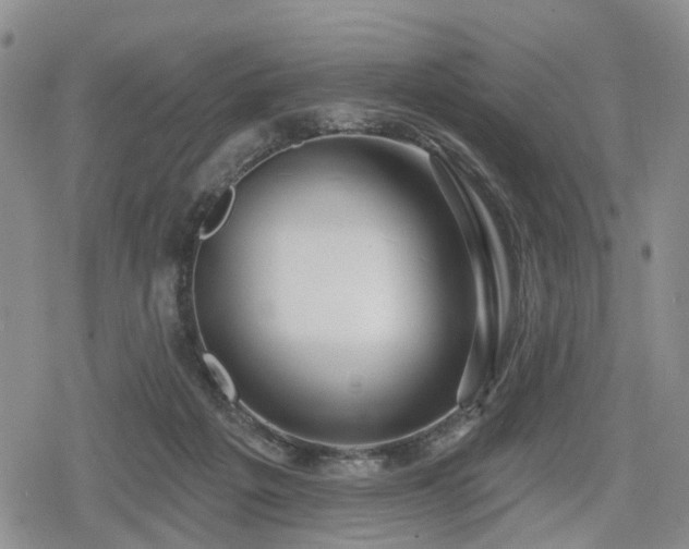 X0000078830217200611201256